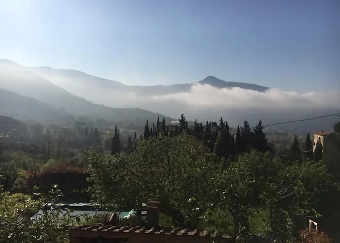 Al Palazzaccio