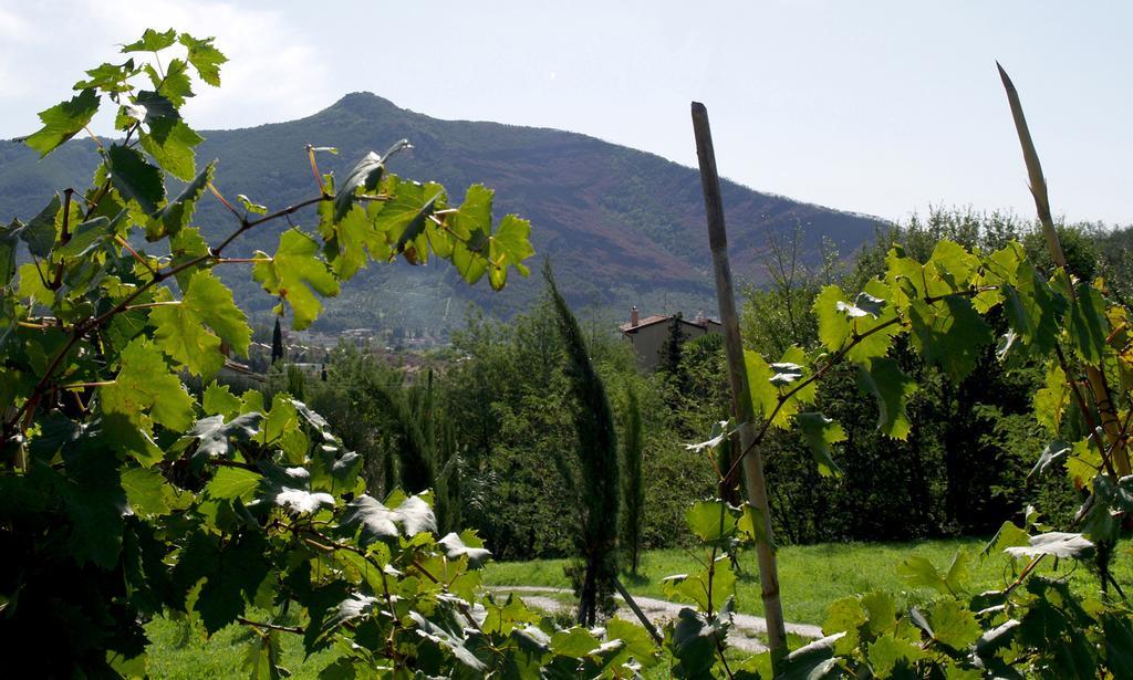 Al Palazzaccio Farm stay Calci