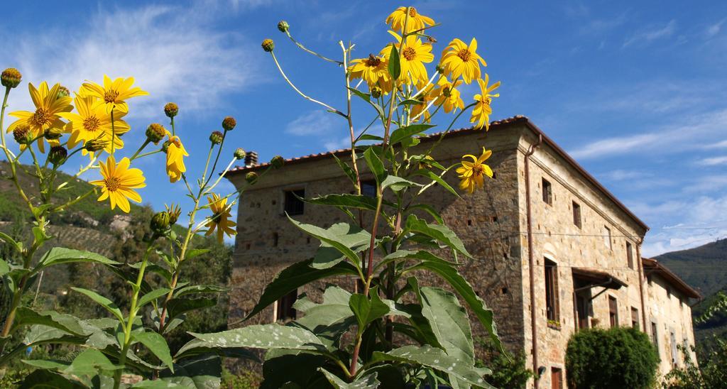 Farm stay Al Palazzaccio