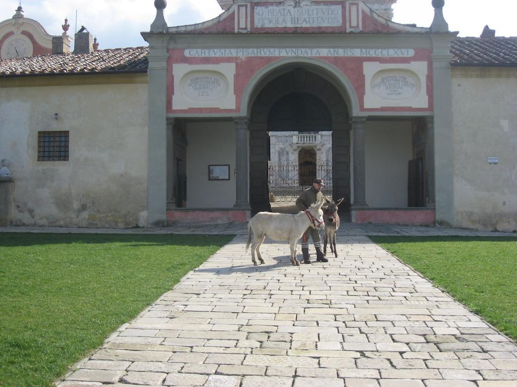 Farm stay Al Palazzaccio Calci
