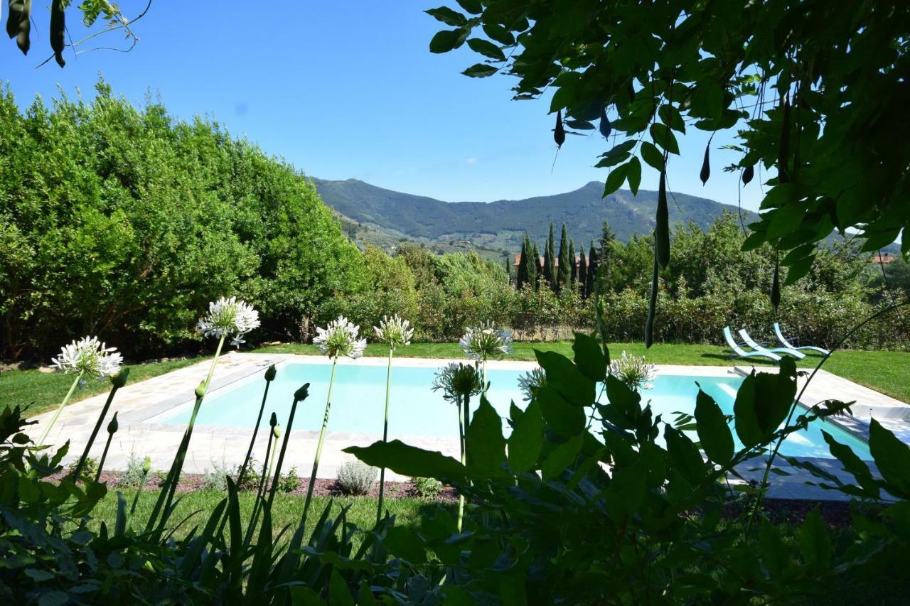 Al Palazzaccio Farm stay *